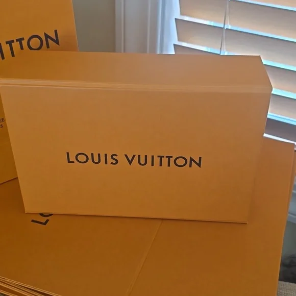 Louis Vuitton Box & Shopping Bag - Picture 2 of 5